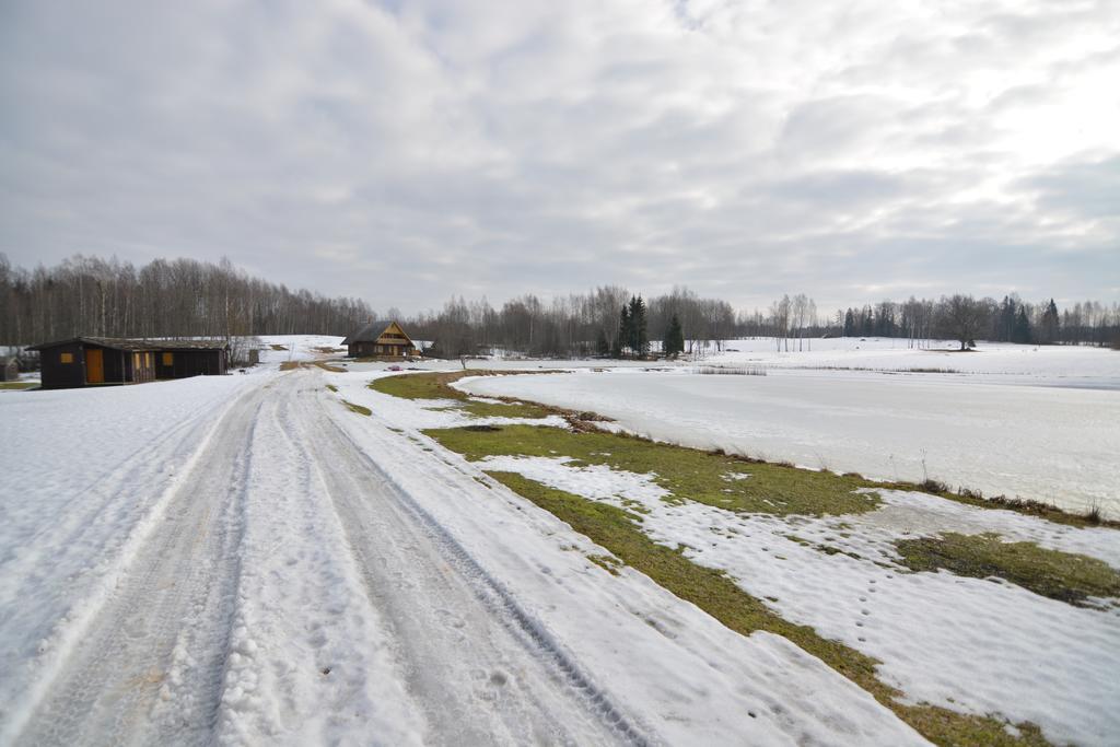 Vila Ligatnes Zemturi Augsligatne Exteriér fotografie