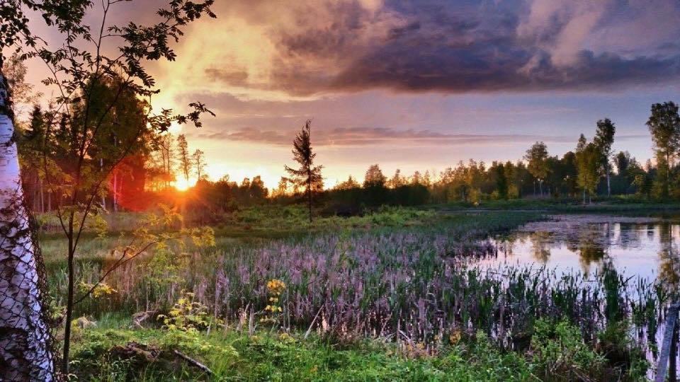 Vila Ligatnes Zemturi Augsligatne Exteriér fotografie